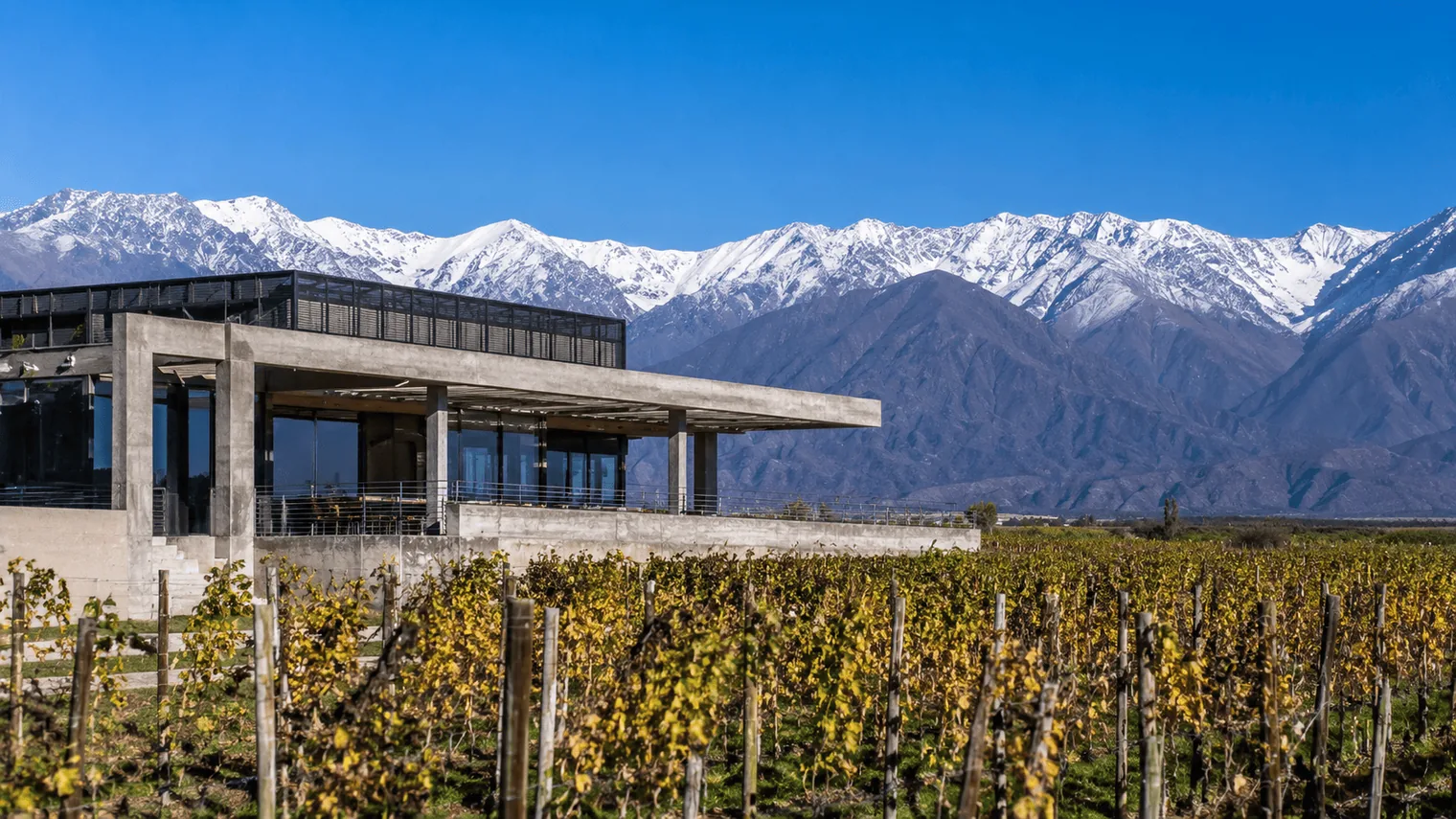 Bodega de arquitectura moderna en el Valle de Uco con la cordillera al fondo